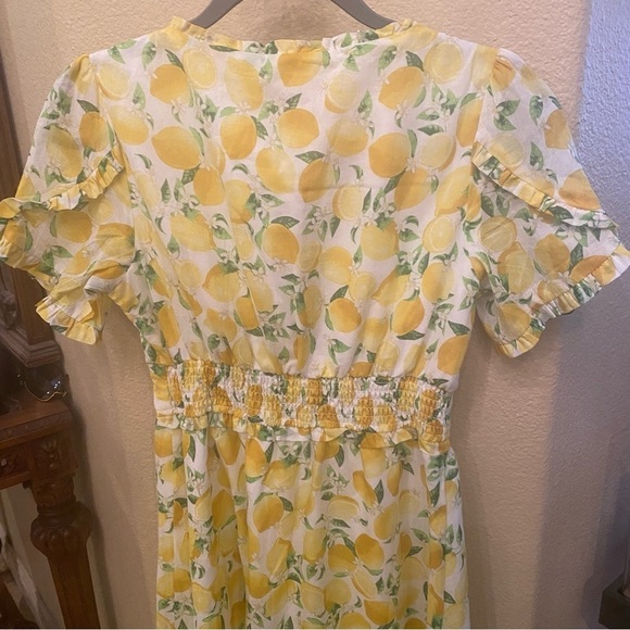 NWT~BETSEY JOHNSON Women Lemon Print Martina Midi Lined Dress Size Small - Picture 5 of 9